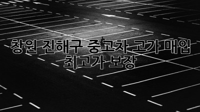 창원 진해구 중고차 고가 매입: 최고가 보장!