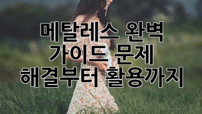메탈레스 완벽 가이드: 문제 해결부터 활용까지