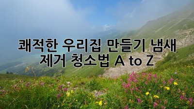 👃 쾌적한 우리집 만들기! 냄새 제거 청소법 A to Z 🏡